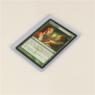 Capa de cartão Toploaders